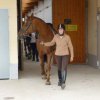 Heidefahrt 2009 059